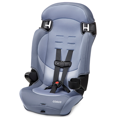 Finale DX 2-in-1 Booster Car Seat, Organic Waves