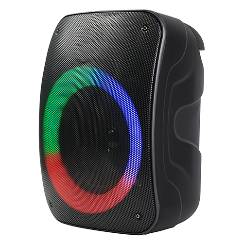 6.5" Bluetooth Speaker w/ True Wireless Technology
