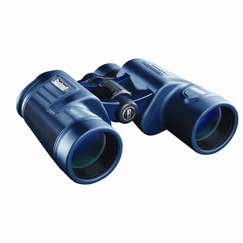 10x 42mm Waterproof/Fogproof Porro Prism Binoculars, Black