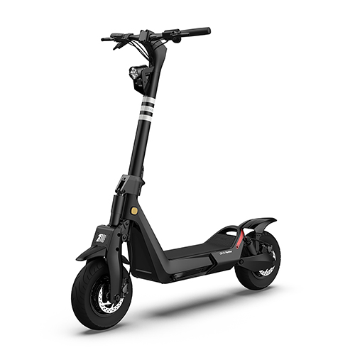 Panther ES800 Off-Road Electric Scooter, Black