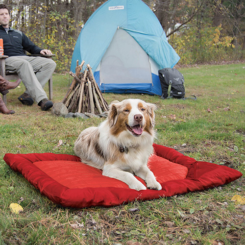 Loft Wander Portable Waterproof Pet Bed - Large, Chili Red