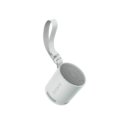 XB100 Compact Bluetooth Wireless Speaker, Gray