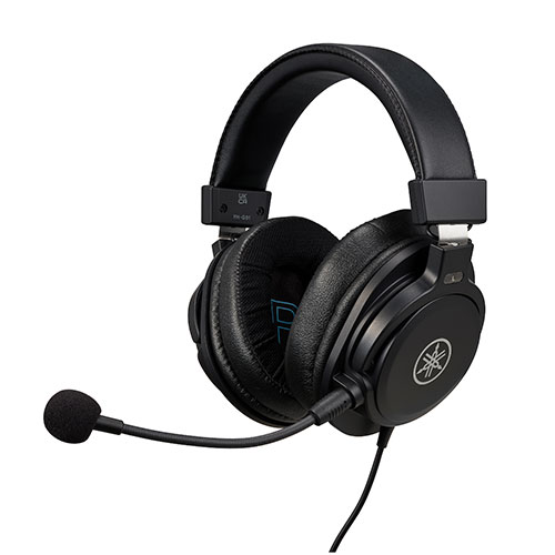 Gaming Headset w/ Microphone
